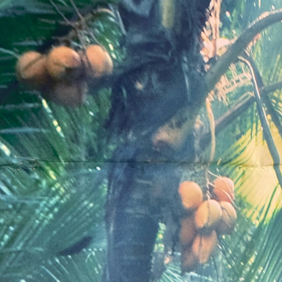 Vivid Moment Photo Backdrop - Picture 10 of 12